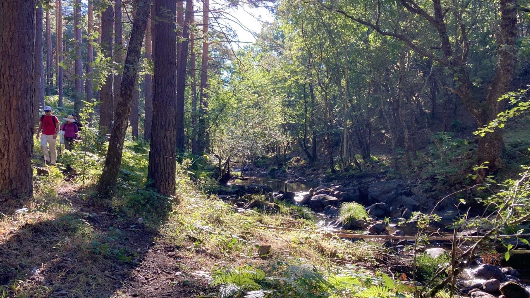 Parece El Señor de los Anillos, pero está en la sierra de Madrid y es una impresionante ruta senderista de 8 etapas