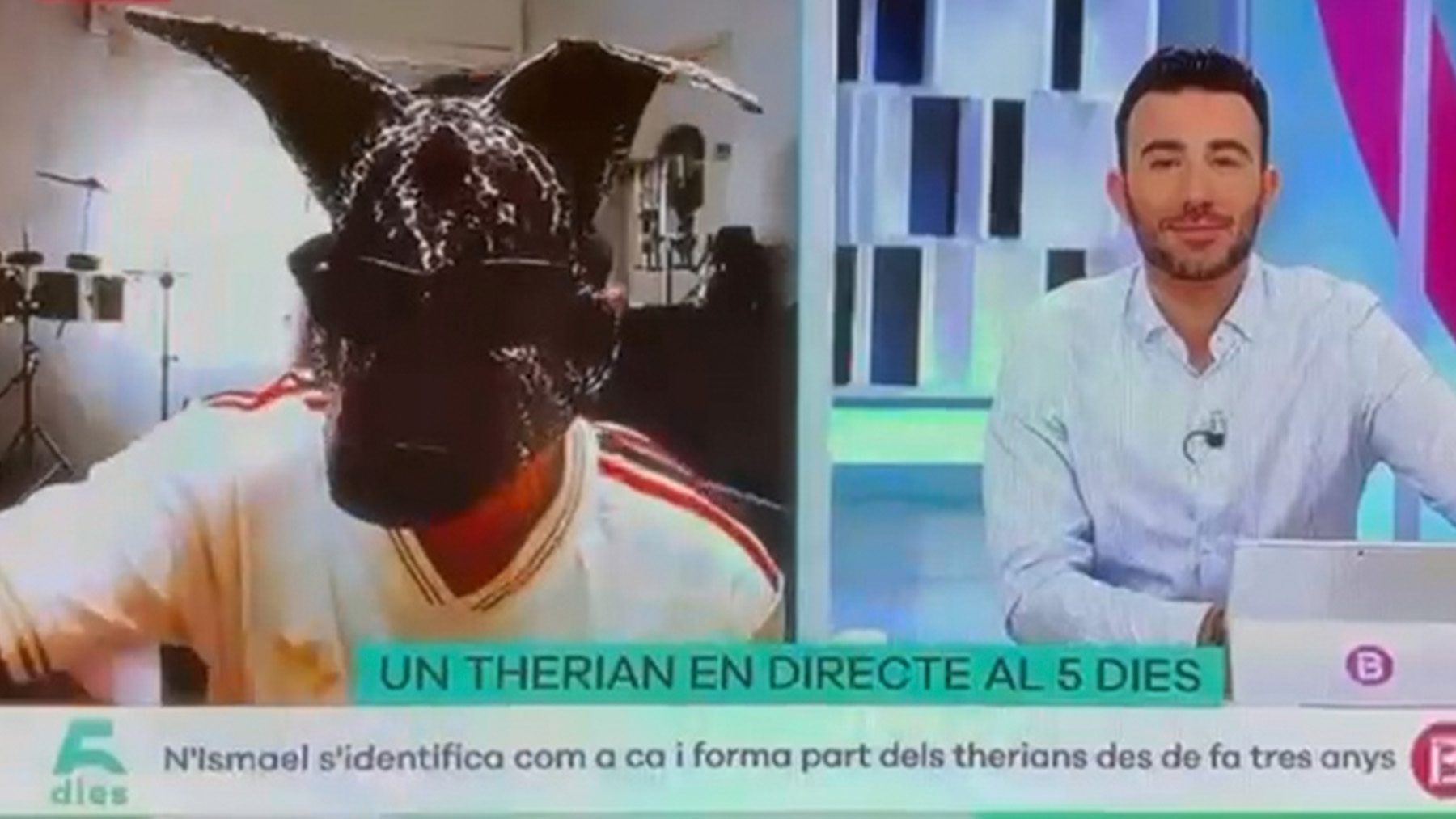 Escándalo en la televisión balear: un ‘therian’ irrumpe en directo a grito de ¡Perro Sánchez, hijo de puta!