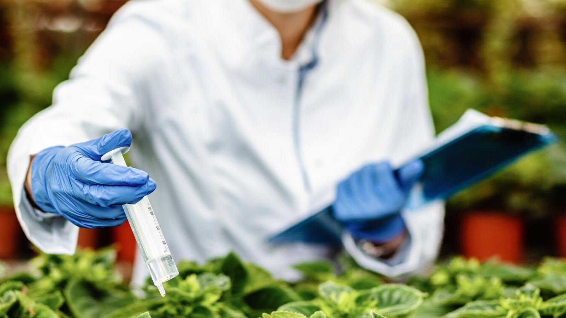 La ciencia brinda por un logro esperanzador: hallan el