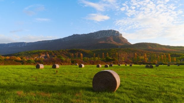 investigacion-naturaleza