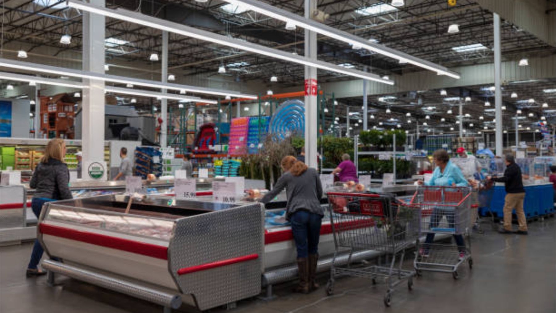 Ni Aldi ni Carrefour: éste es el supermercado mejor valorado por los españoles y la OCU lo ha confirmado