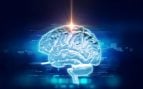 cerebro humano