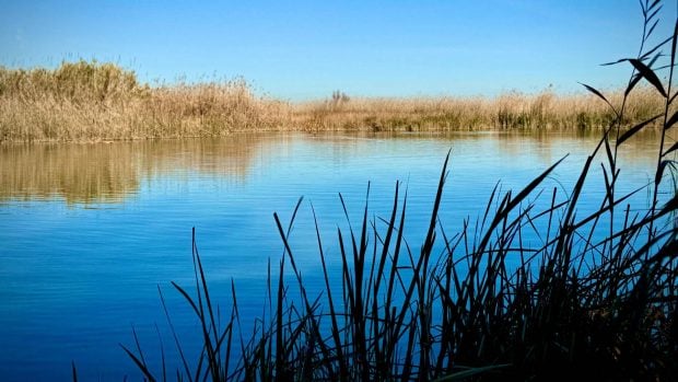Informe-Batimétrico-Albufera