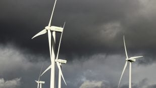 Palas de molinos eólicos