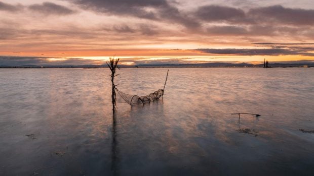 perdida profundidad albufera