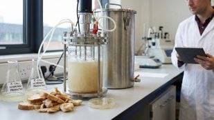 Científicos en Escocia han desarrollado un método para que la industria química obtenga hidrógeno mediante bacterias E. coli alimentadas con residuos de pan. (Representación)