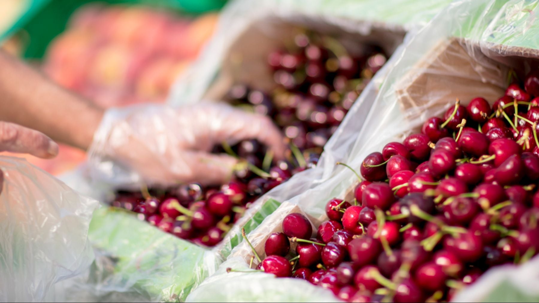 El origen de las cerezas de Mercadona: va a traer más de 6.000 toneladas