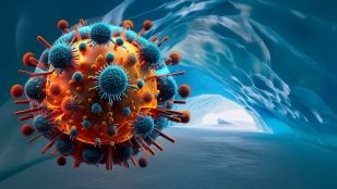 Gripe aviar en la Antártida