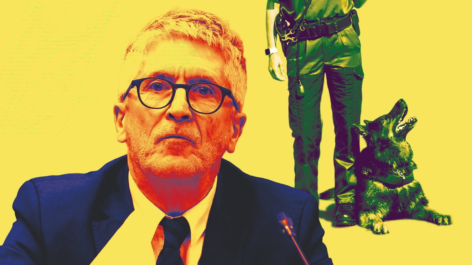 Marlaska raciona la comida de los perros de la Guardia Civil: reduce un 25% la compra de pienso