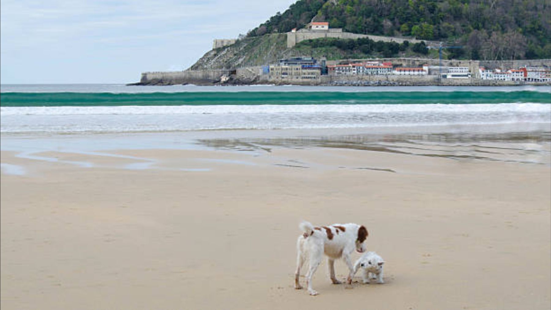Ni una tregua nocturna: en esta famosa playa del País Vasco una votación lo ha cambiado todo