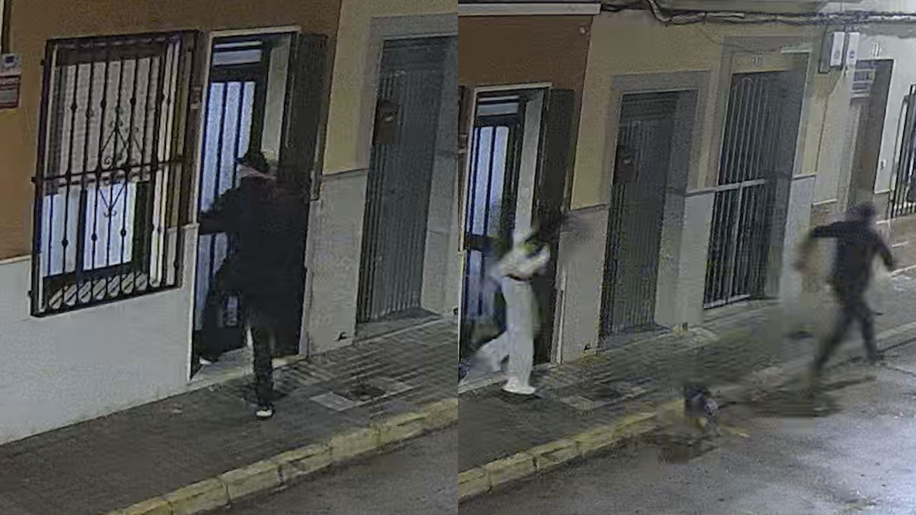 Un perro salva a una mujer de ser secuestrada en Valencia y deja el bocado que identifica a su agresor