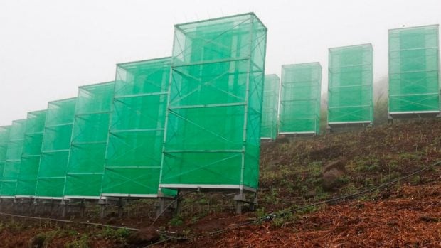 Sistema para la recogida del agua de la niebla. 