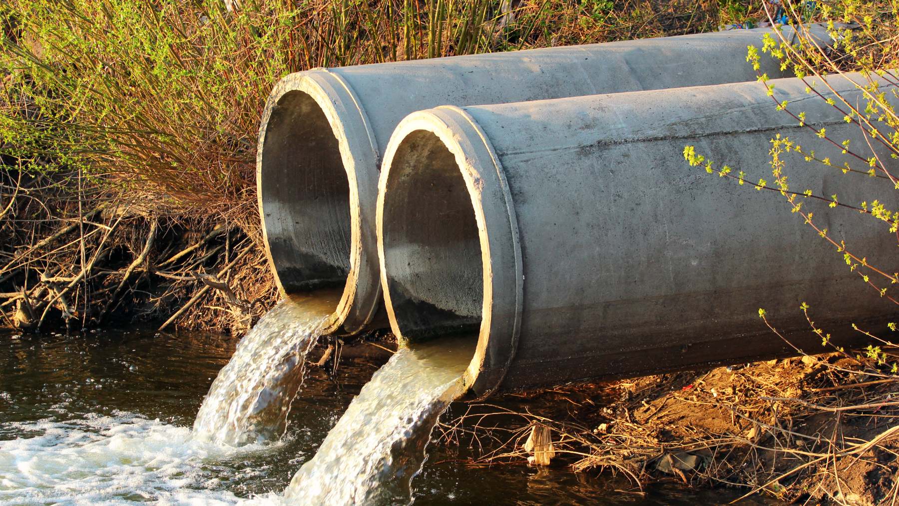 Las aguas residuales contienen multitud de microplásticos.