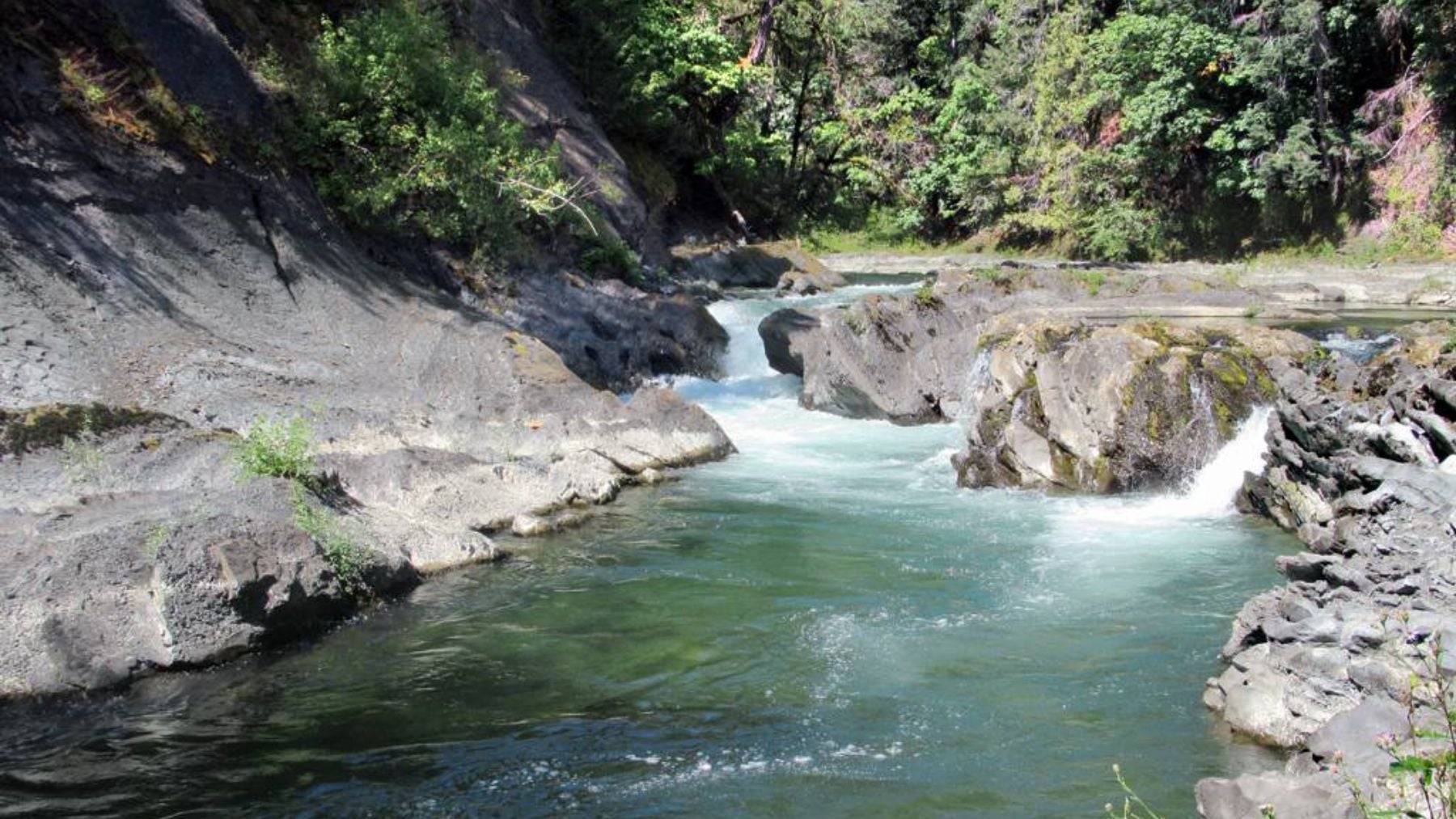 Los expertos ponen el grito en el cielo: ya detectan residuos de fibra de vidrio en estuarios costeros de Canadá