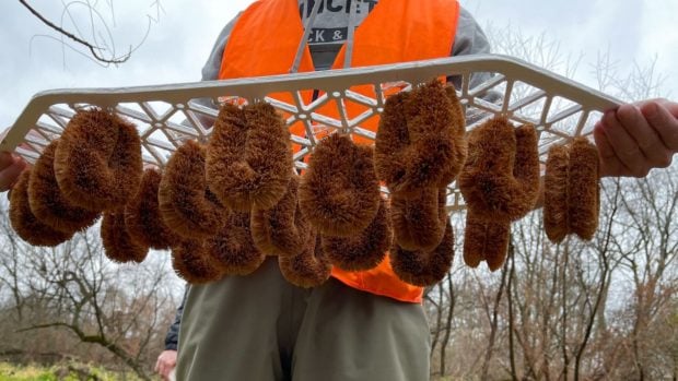 Prototipo dise&ntilde;ado por la startup. (Foto: Polygone Systems).