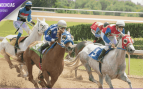 Carreras Hipódromo Zarzuela