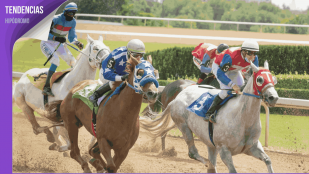 Carreras Hipódromo Zarzuela