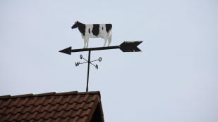Refranero español relacionado con el viento, refrán sobre el clima de marzo, frases hechas sobre el viento, refrán de primavera, refranes de primavera, refrán sobre veleta.