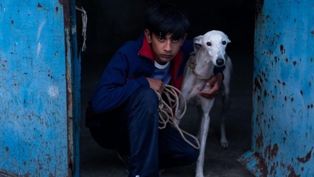 estrenos marzo Movistar Plus