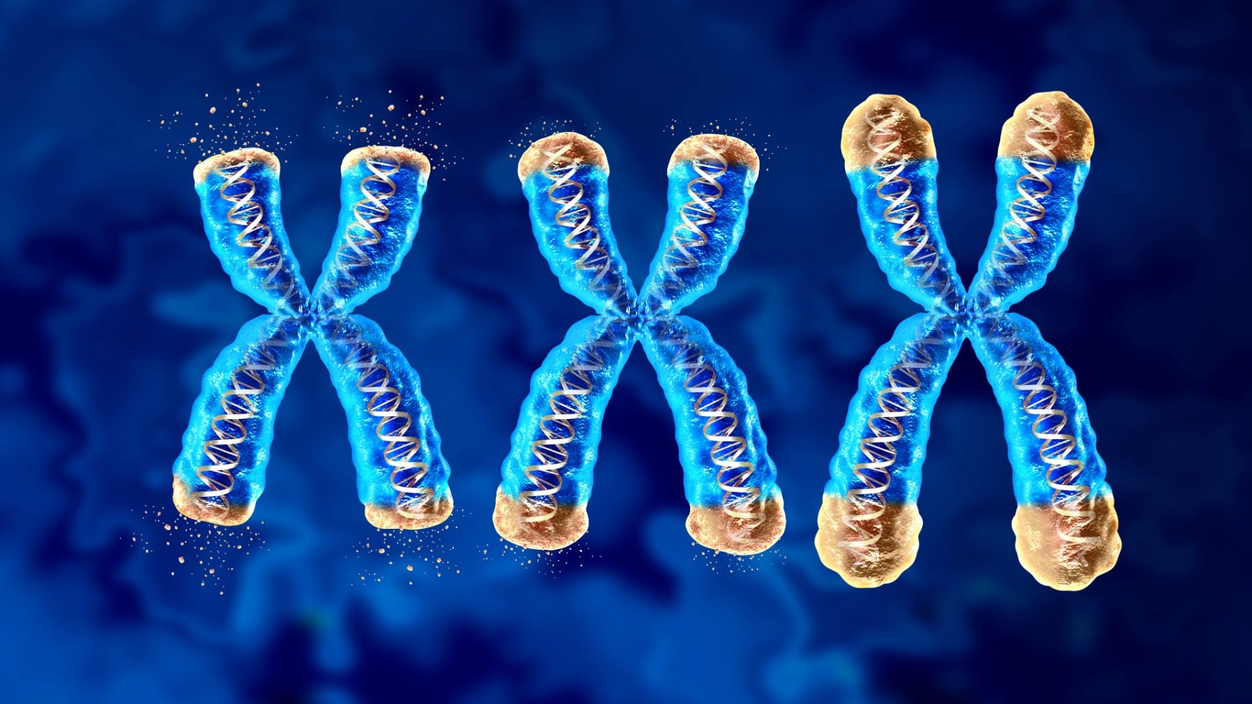 Los científicos no dan crédito: la silenciosa pérdida del cromosoma Y en los hombres podría ser letal