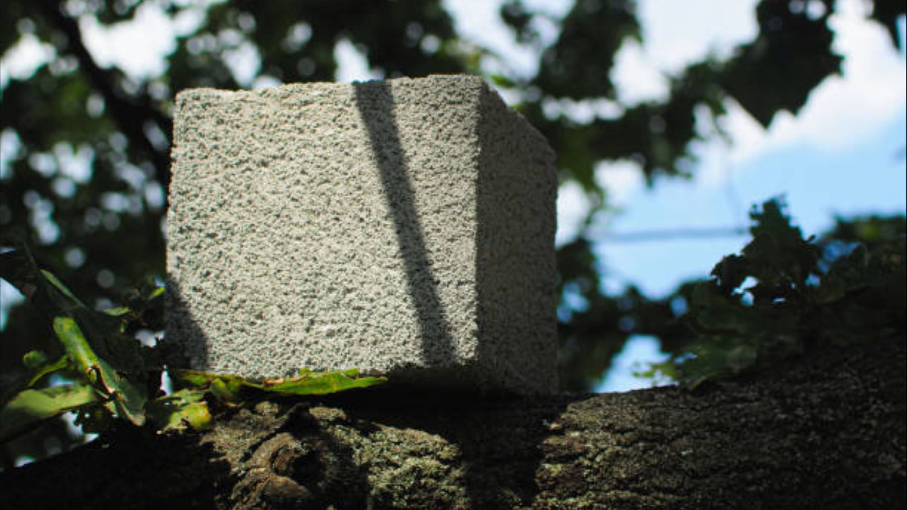 Suena insólito pero va a cambiar el mundo: crean casas hechas con ladrillos de plástico reciclado