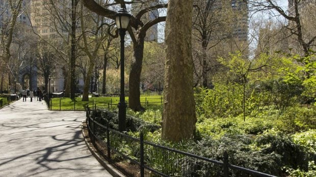 Salud, bienestar y resiliencia: El Foro de las Ciudades analiza el papel de la naturaleza urbana