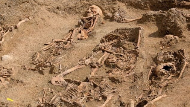 Restos óseos encontrados en una excavación