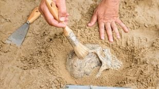 reconstruyen rosto mujer