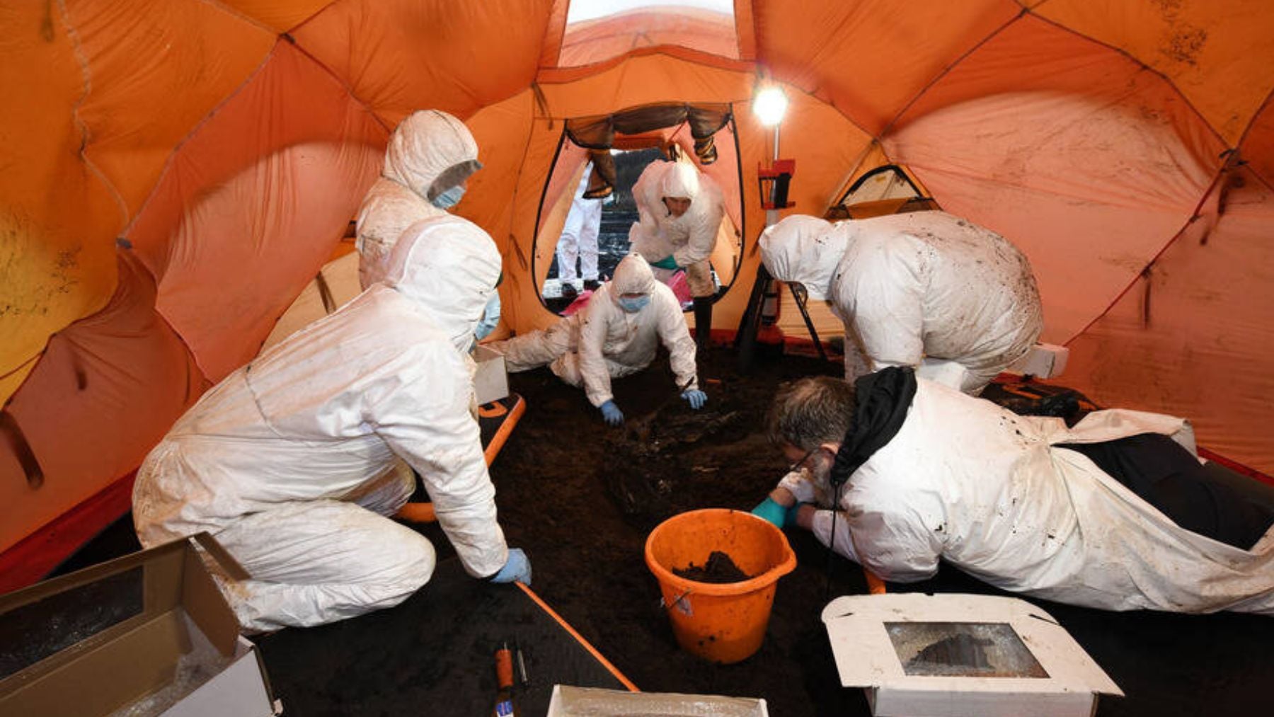 Un estremecedor hallazgo en Irlanda revela el desconocido papel de las mujeres en los cultos de la Edad del Hierro