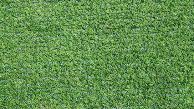 C&eacute;sped artificial de cerca. 