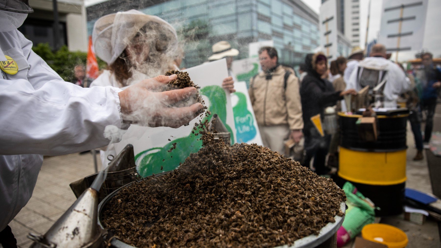 La UE rebaja un 10% los controles a cítricos de Egipto y Turquía pese a pesticidas con riesgo neurológico