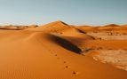 NASA y desierto de Arabia Saudí