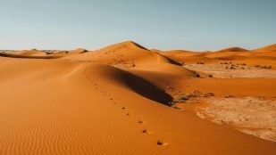 NASA y desierto de Arabia Saudí
