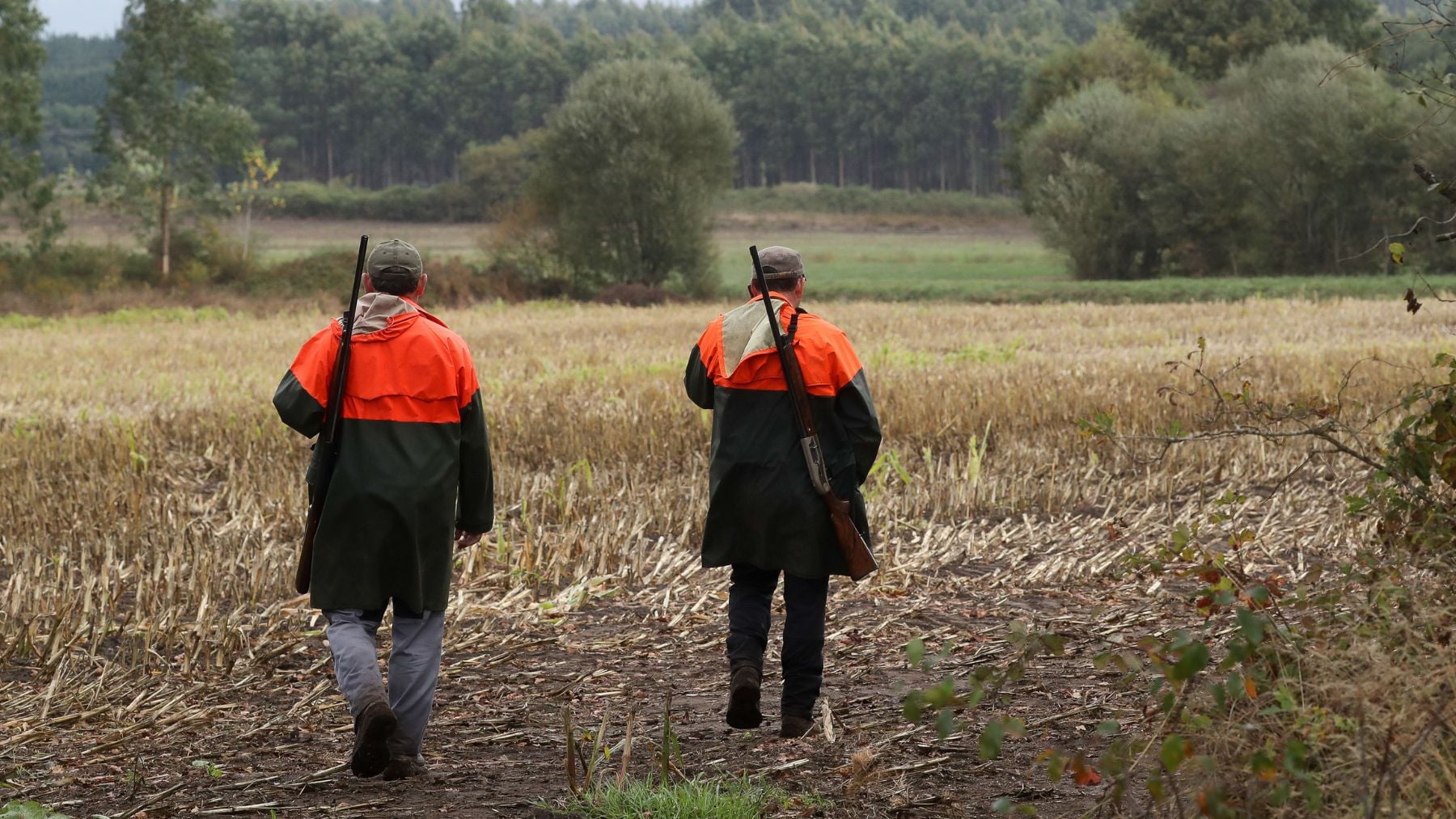 El Gobierno va a confirmar la peor noticia para los cazadores: la nueva norma va a costar muy cara