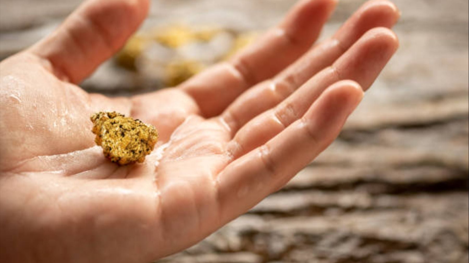 Lo tiramos a la basura pero éste aparato que tenemos todos en casa tiene 450 mg de oro
