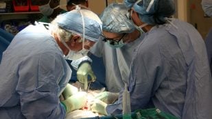 Cómo se escribe trasplante en español, trasplante o transplante en la RAE, cómo se dice trasplante en español, trasplante o transplante en la RAE, prefijo trans en la RAE.