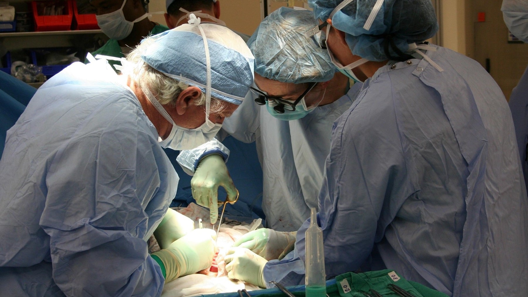 ¿Cómo se dice en español,