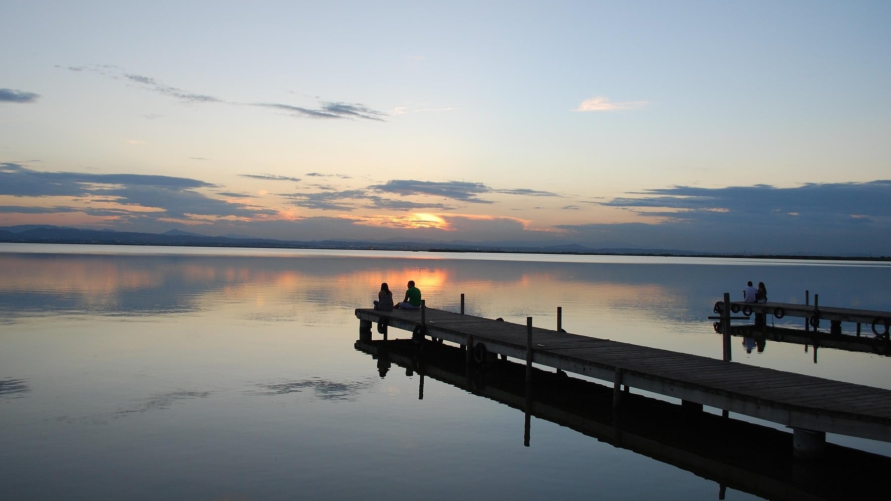 Brindis de emoción en la zoología española: la Albufera de Valencia alcanza la cifra récord de 2 millones de peces