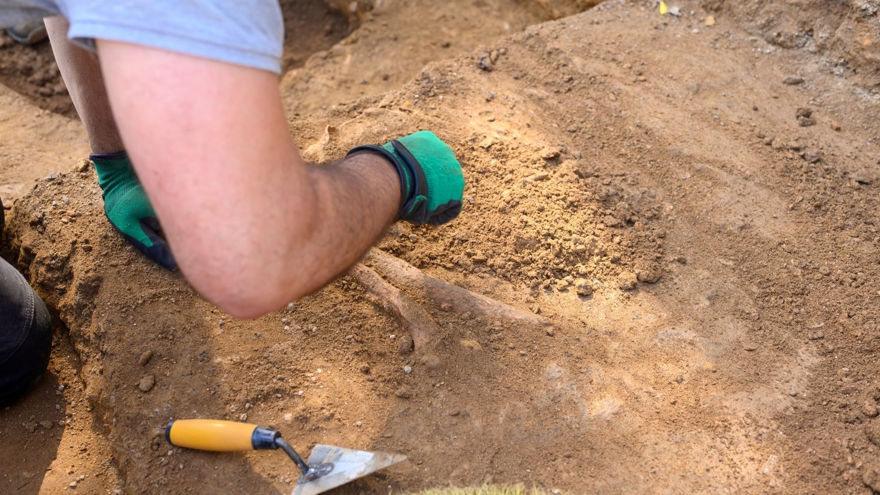 Un análisis de ADN reescribe la historia: analizan una fosa de hace 2.800 años y lo que encuentran deja sin palabras a los arqueólogos