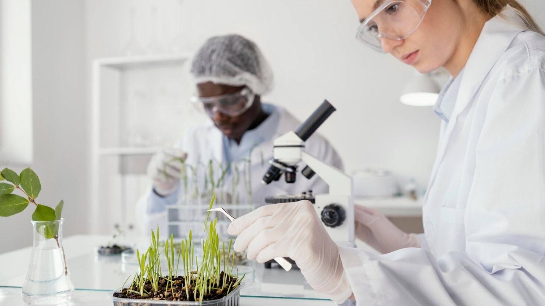 China rompe las leyes naturales: crea un material que imita a las plantas y funciona como una batería solar