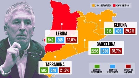 Fernando Grande-Marlaska, ministro del Interior.