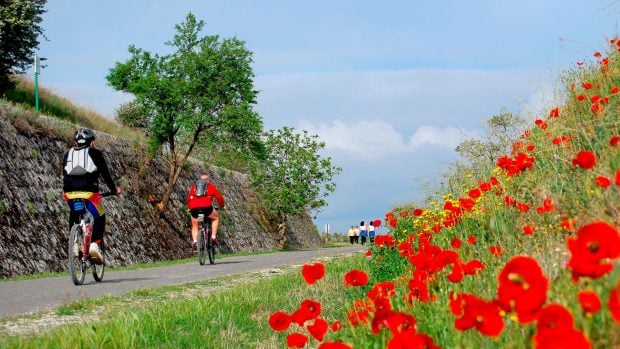 Camino Natural V&iacute;a Verde del Aceite. (Foto: viasverdes.es).