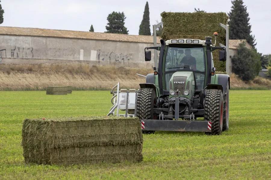 El conflicto en Irán pone en jaque el negocio de la alfalfa española en Oriente Medio: 400 millones de euros