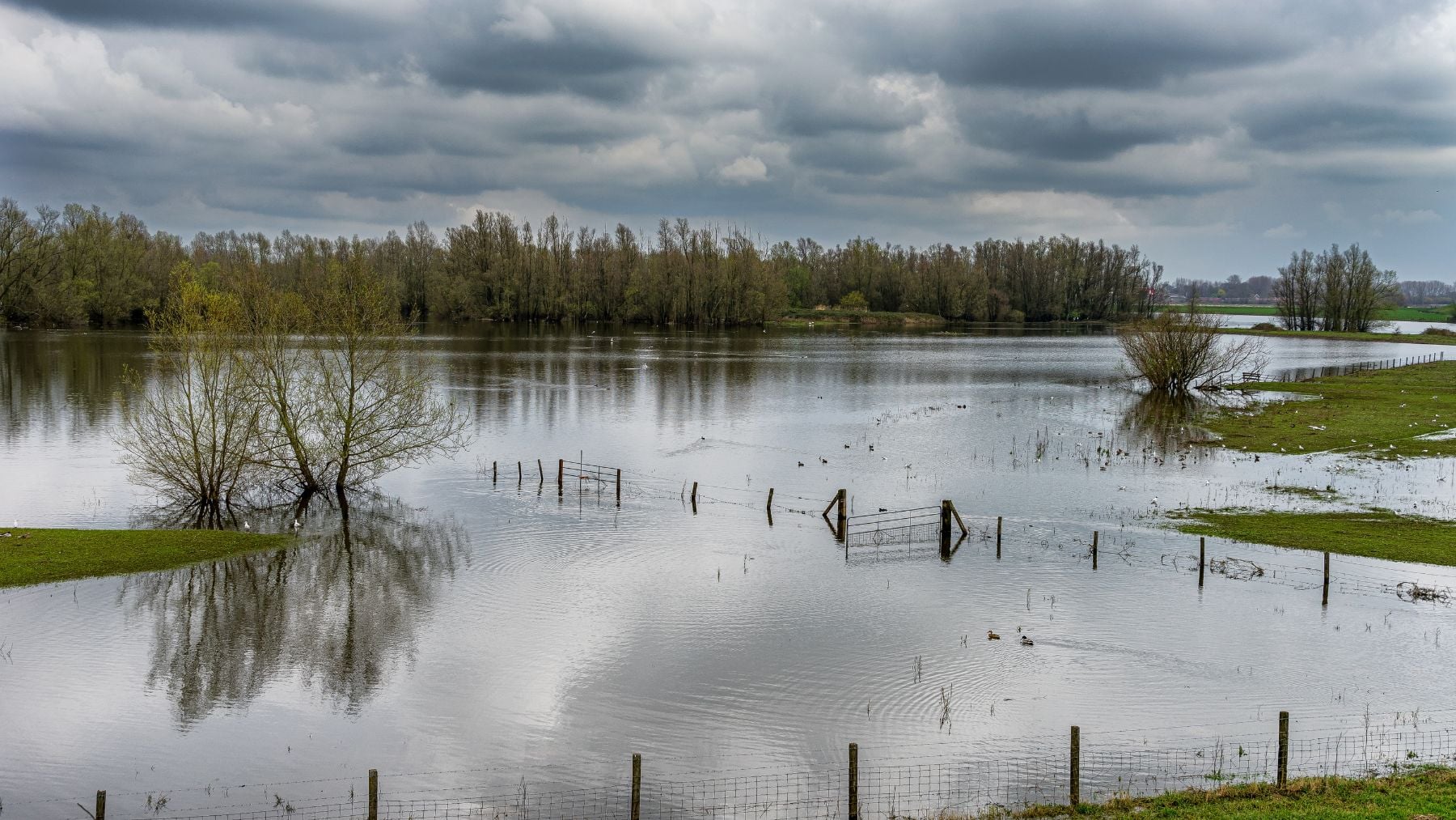 Abren nuevos brazos en un río extremeño y evitan que se inunden dos pueblos durante la mayor crecida de su historia