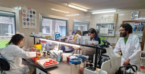 bacteria antibi&oacute;ticos