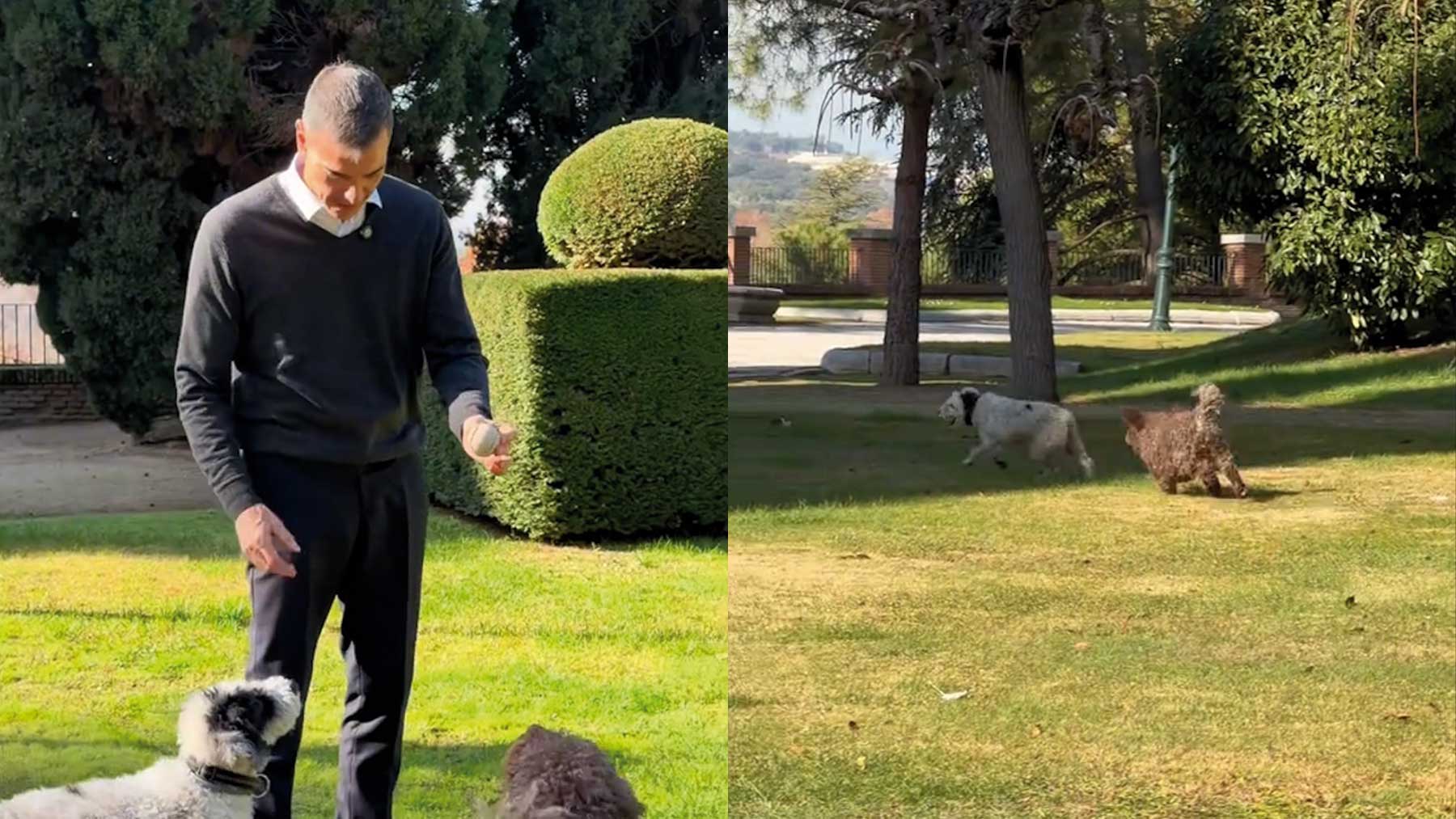 Imágenes del vídeo de Pedro Sánchez jugando con sus perras.