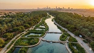 La planta de biorremediación de Arabia Saudí utiliza un sistema de niveles biológicos con algas, plantas y fauna para depurar aguas residuales de forma natural. (Representación)