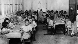 apellidos antepasados