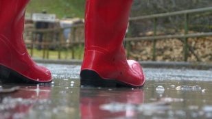 La RAE explica cómo escribir 'katiuskas', qué son las katiuskas, katiuska en español, katiuska o catiusca según la RAE, extranjerismos no adaptados en español, por qué a las botas de agua se les llama katiuskas.