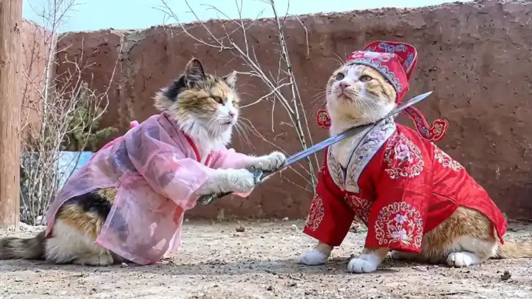 Escena de uno de estos culebrones protagonizados por animales.